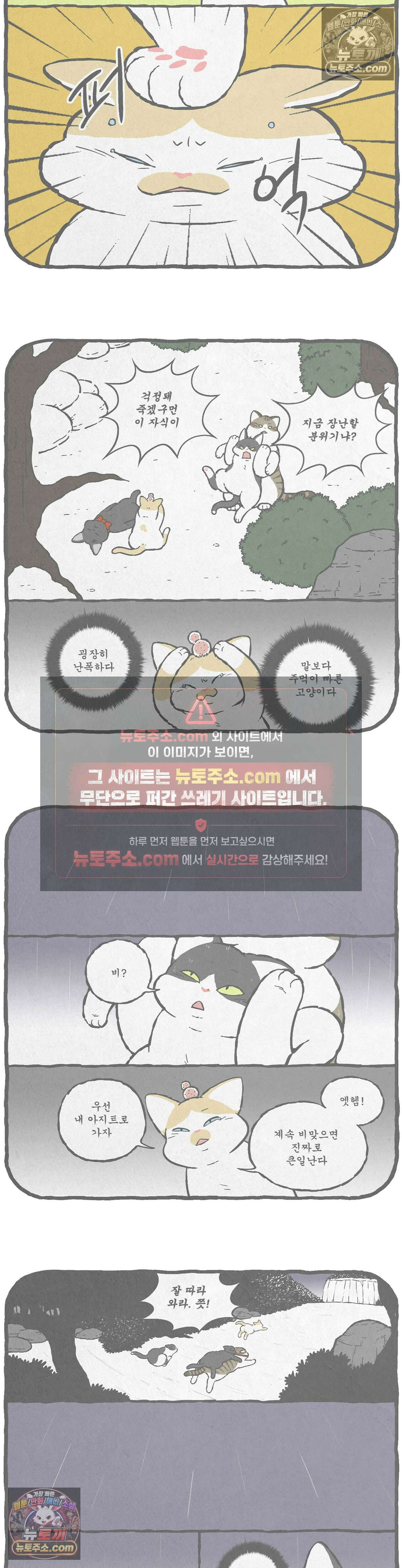 고로애옳 12화 3