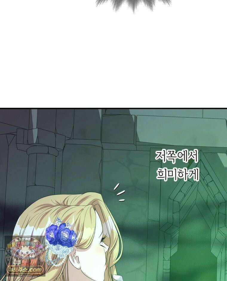 늑대 대공의 반려인간 62화 111