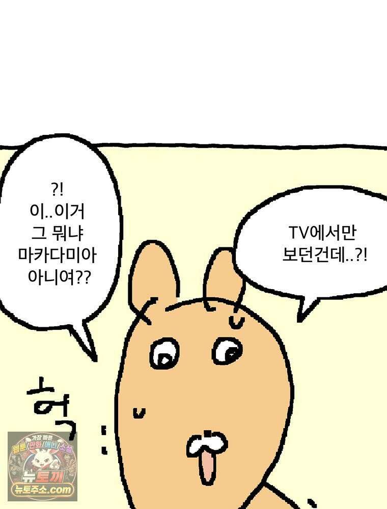GO라니의 독립일기 9화 마카다미아의 눈물 9