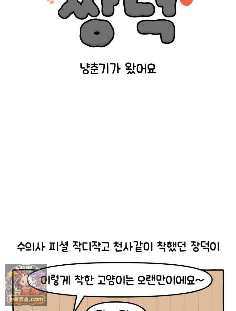 먼지 덩어리 짱덕 8． 냥춘기가 왔어요 2