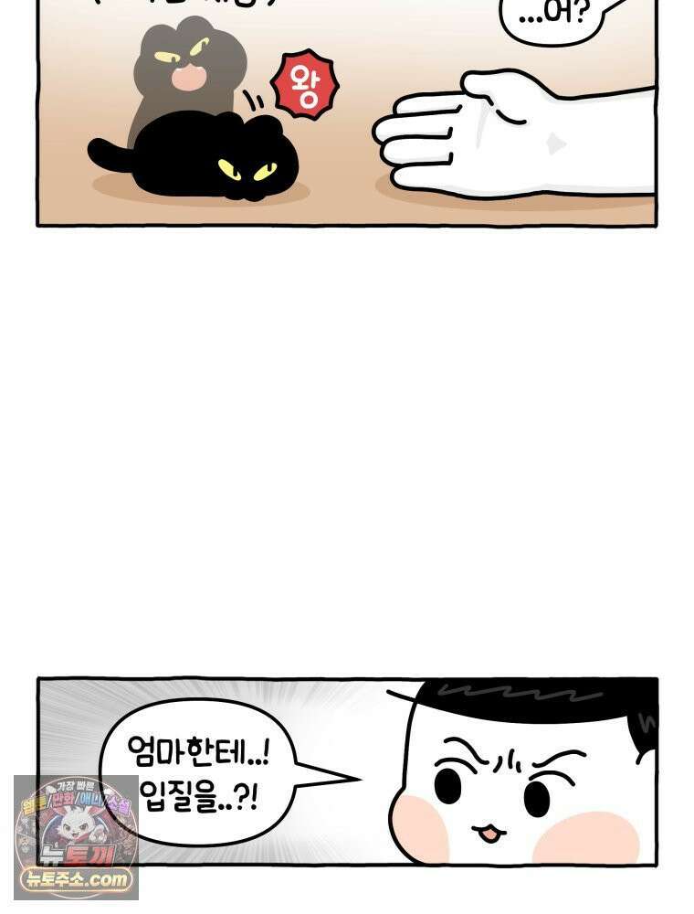 먼지 덩어리 짱덕 8． 냥춘기가 왔어요 13