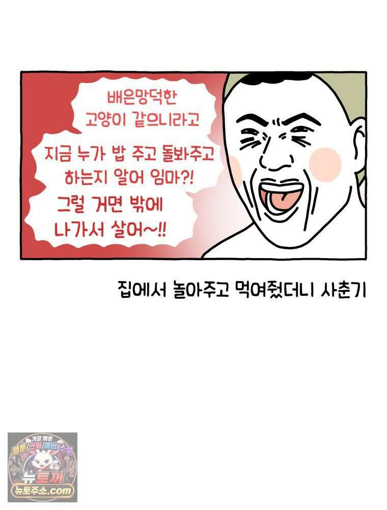 먼지 덩어리 짱덕 8． 냥춘기가 왔어요 16