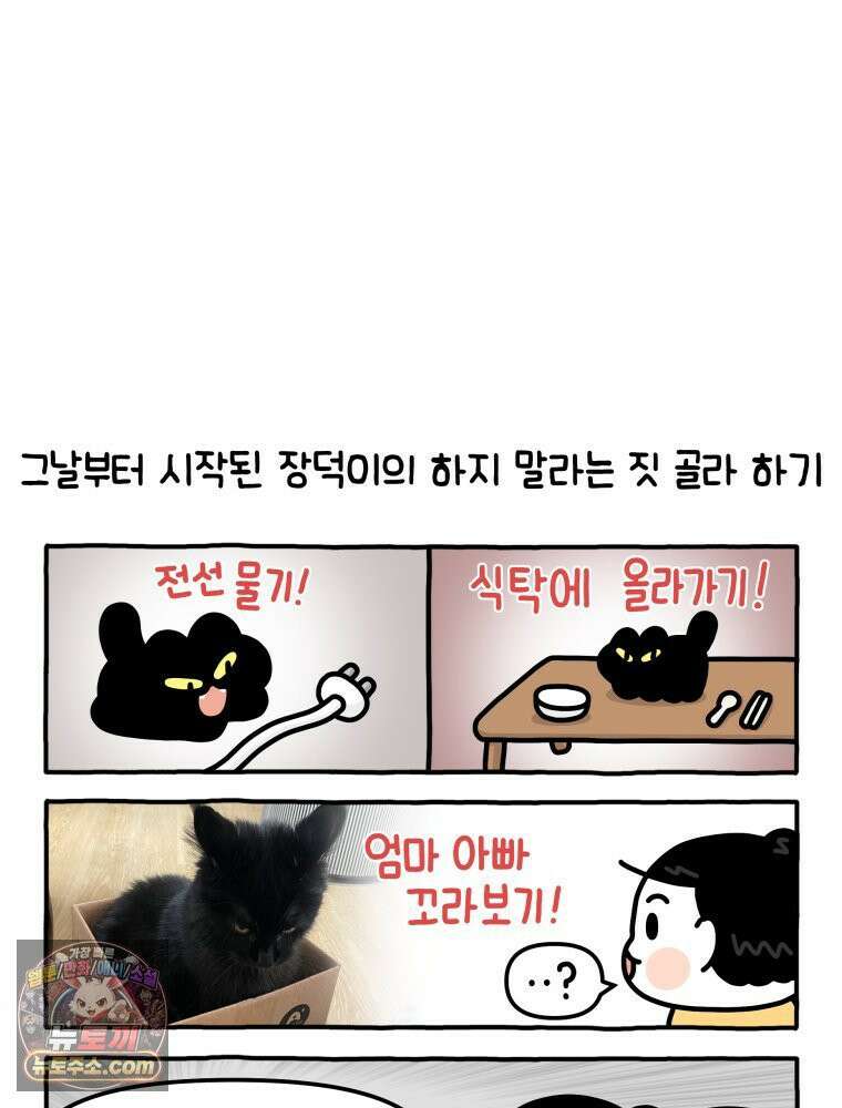 먼지 덩어리 짱덕 8． 냥춘기가 왔어요 18