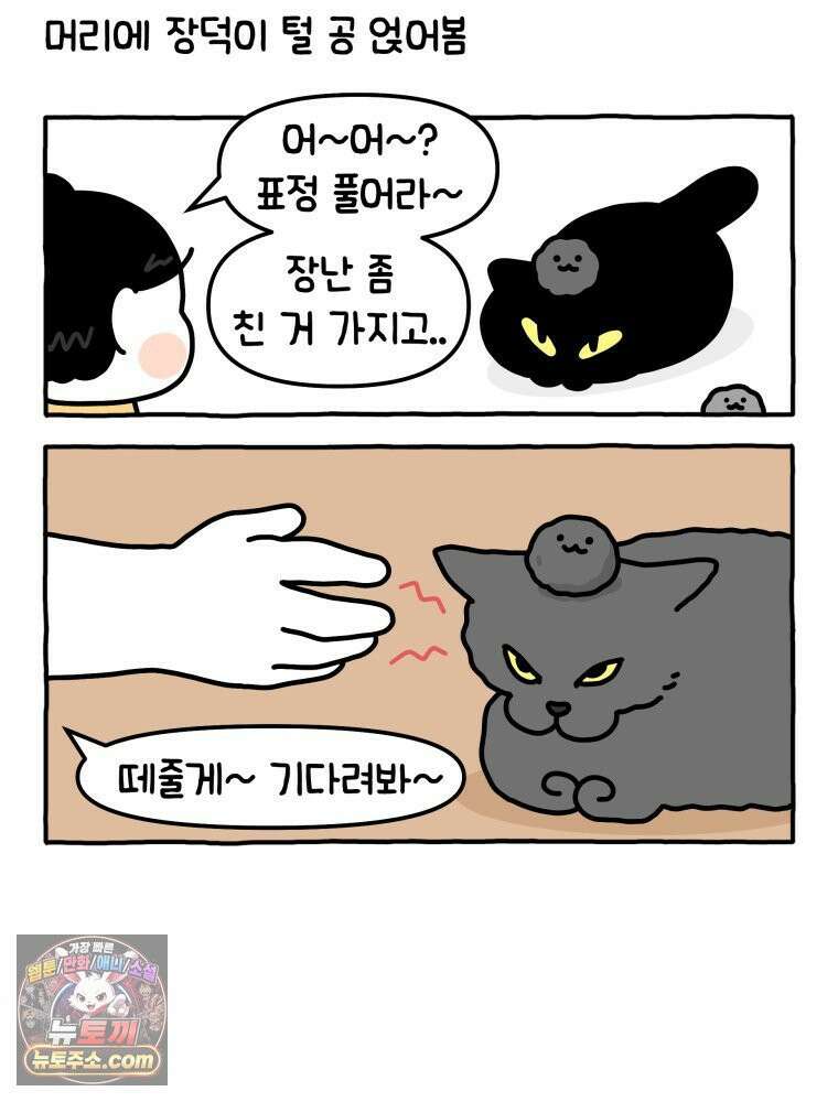 먼지 덩어리 짱덕 8． 냥춘기가 왔어요 27