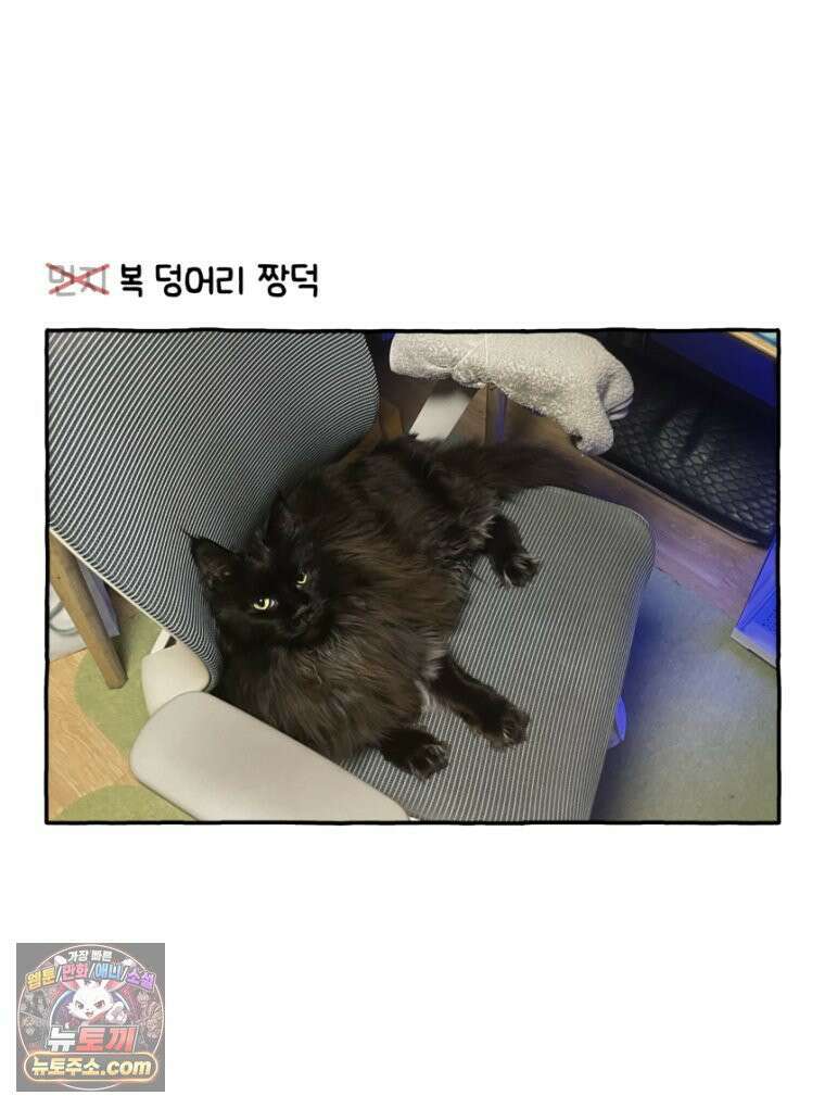 먼지 덩어리 짱덕 23． 짱덕 아빠 이야기 33