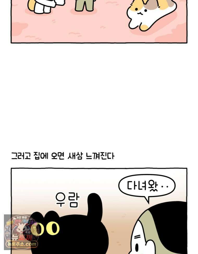 먼지 덩어리 짱덕 30． 짱덕 조각 모음 3