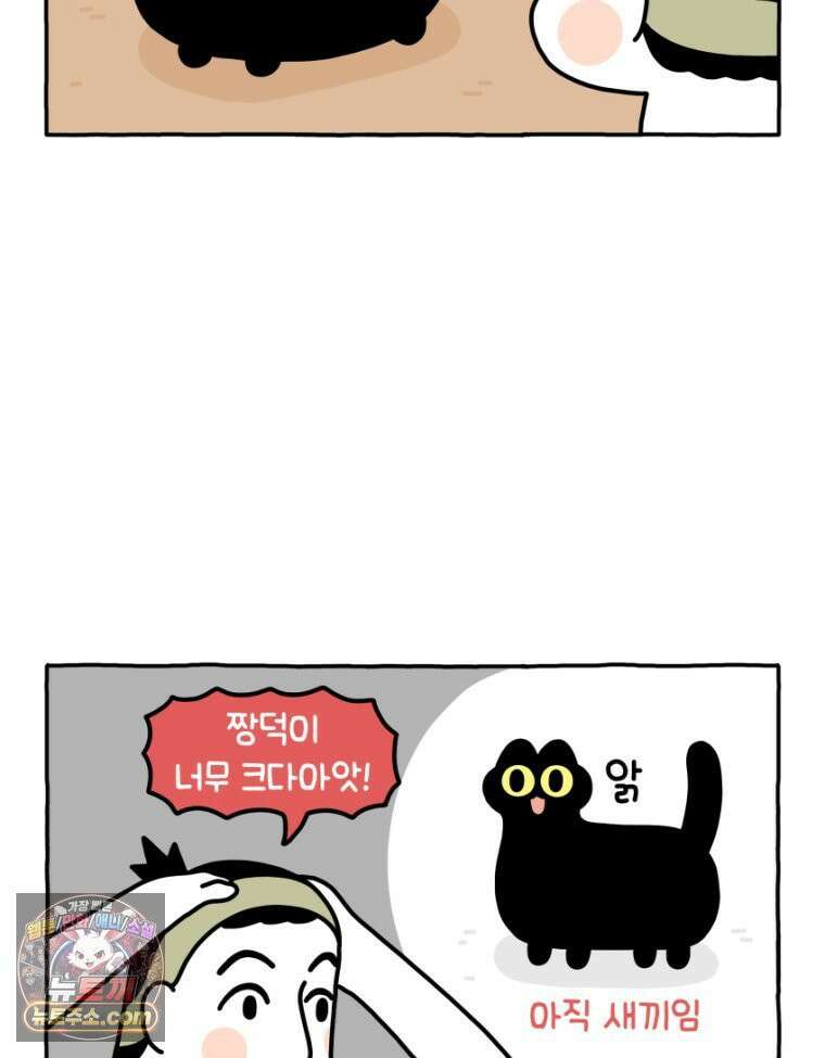 먼지 덩어리 짱덕 30． 짱덕 조각 모음 4