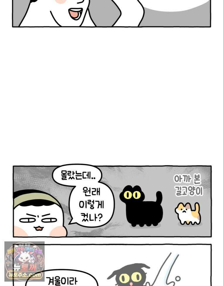먼지 덩어리 짱덕 30． 짱덕 조각 모음 5