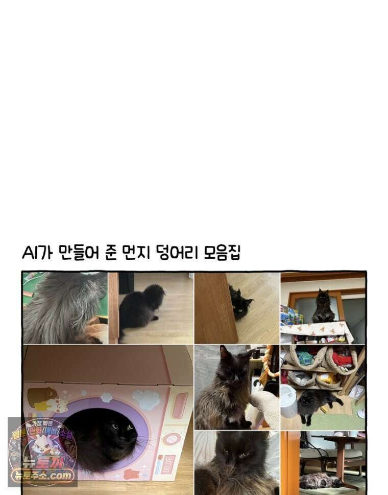 먼지 덩어리 짱덕 30． 짱덕 조각 모음 11