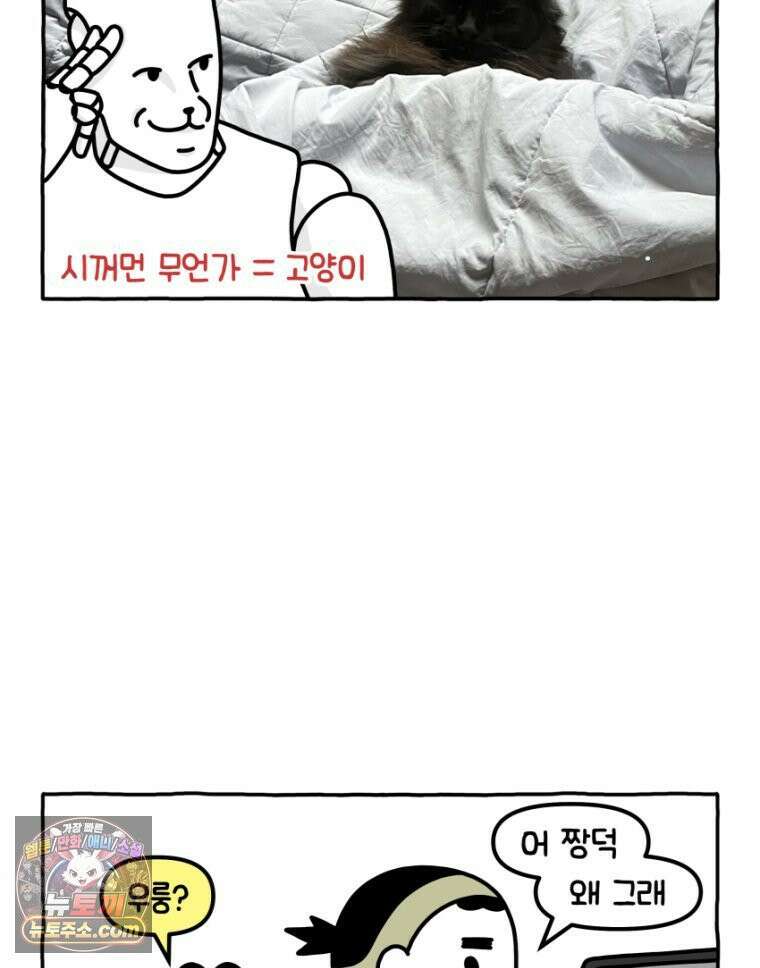 먼지 덩어리 짱덕 30． 짱덕 조각 모음 13
