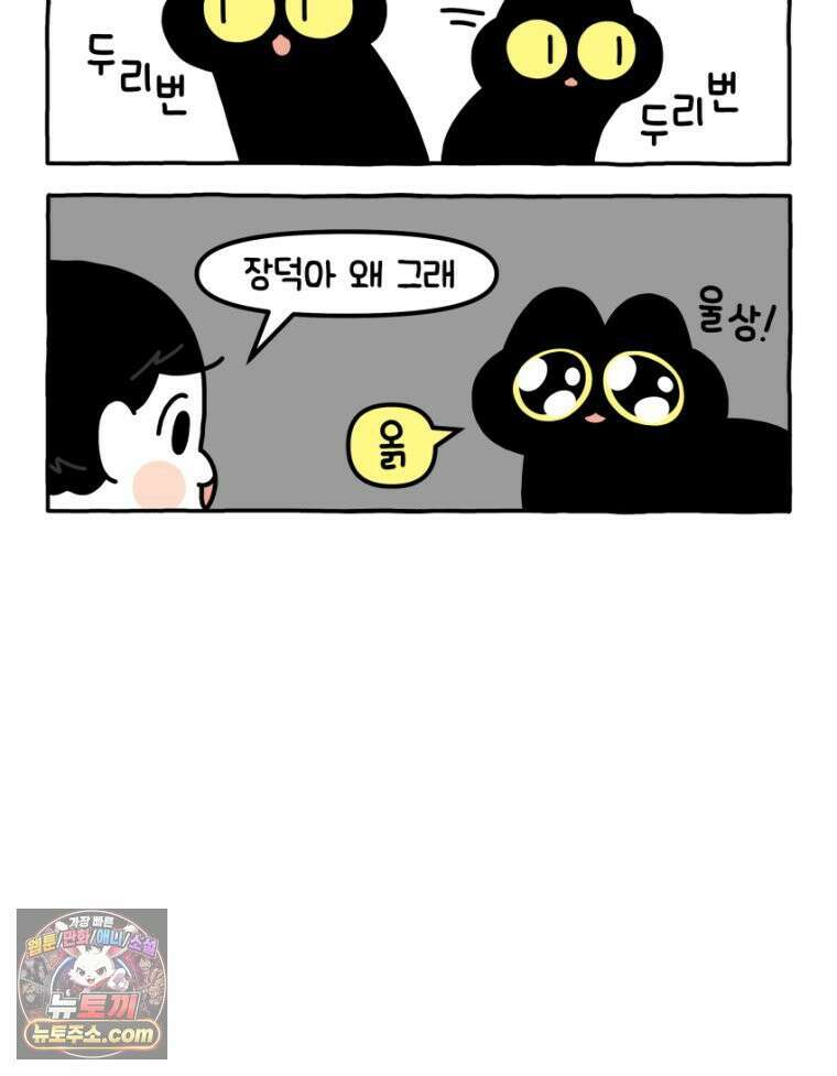 먼지 덩어리 짱덕 30． 짱덕 조각 모음 21