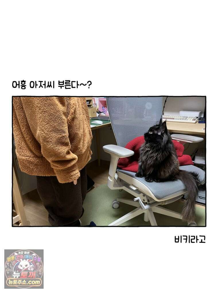 먼지 덩어리 짱덕 30． 짱덕 조각 모음 25