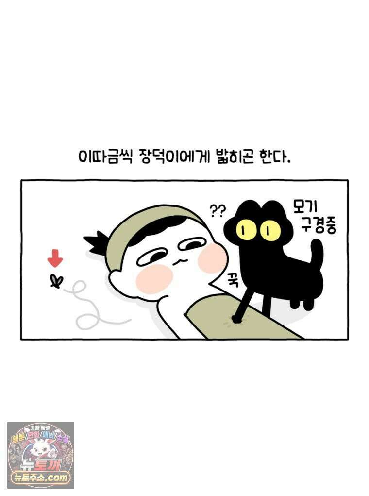 먼지 덩어리 짱덕 30． 짱덕 조각 모음 26