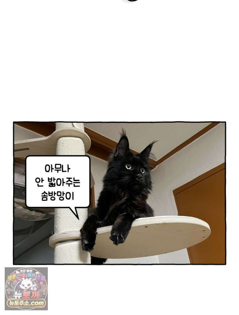 먼지 덩어리 짱덕 30． 짱덕 조각 모음 31
