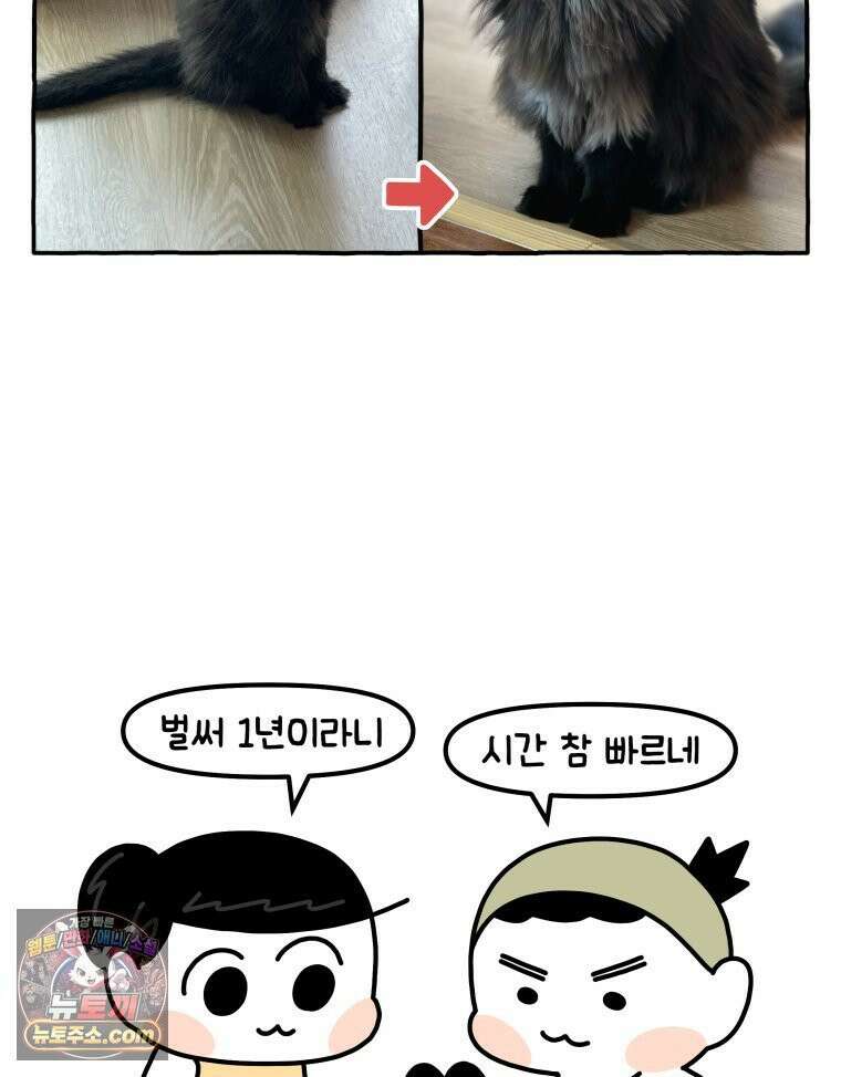 먼지 덩어리 짱덕 44． 시즌 1 마지막 화 3