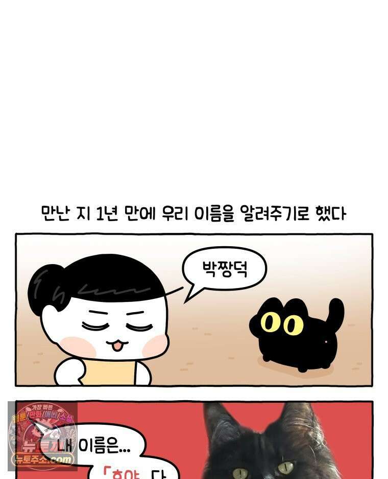 먼지 덩어리 짱덕 44． 시즌 1 마지막 화 8