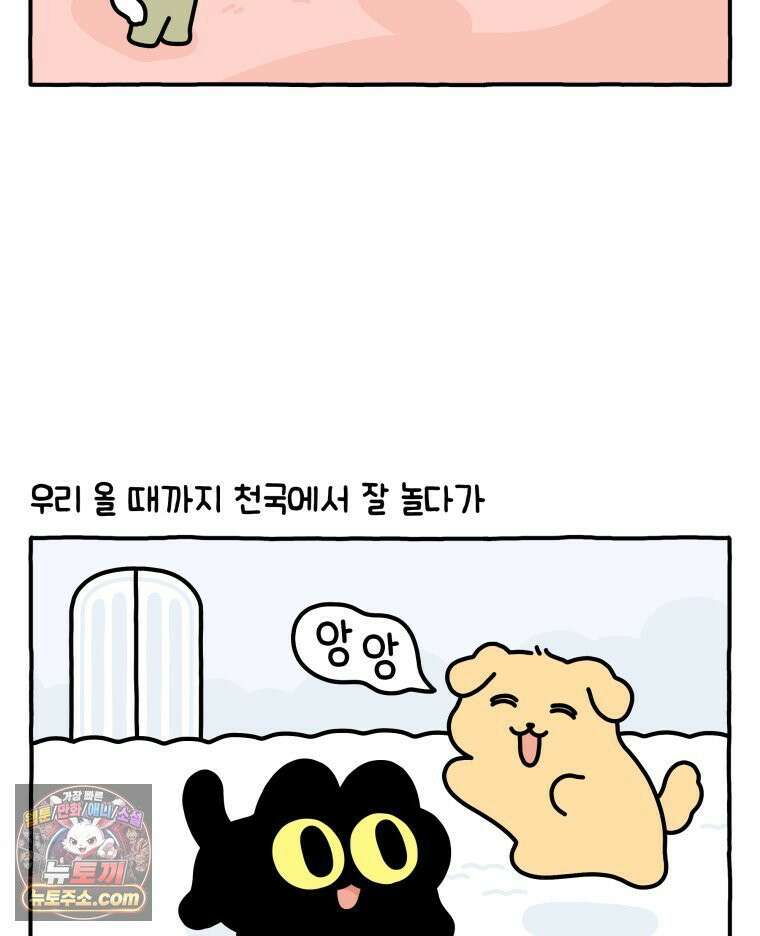먼지 덩어리 짱덕 44． 시즌 1 마지막 화 12
