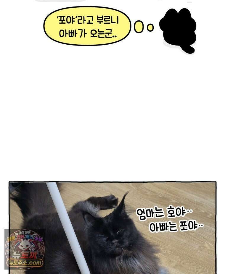 먼지 덩어리 짱덕 44． 시즌 1 마지막 화 20
