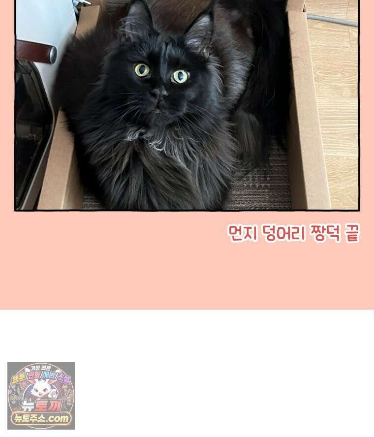 먼지 덩어리 짱덕 44． 시즌 1 마지막 화 29