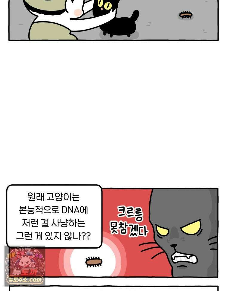 먼지 덩어리 짱덕 54． 벌레 퇴치 1 9