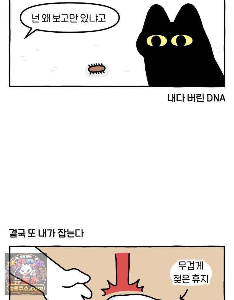 먼지 덩어리 짱덕 54． 벌레 퇴치 1 10