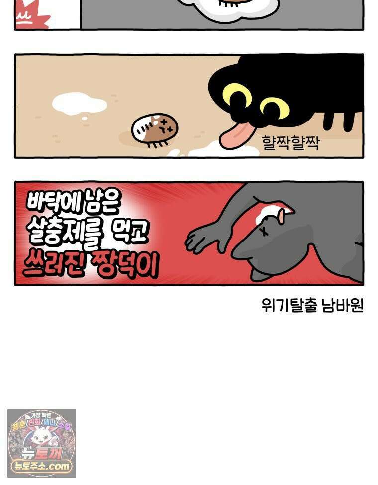 먼지 덩어리 짱덕 54． 벌레 퇴치 1 13