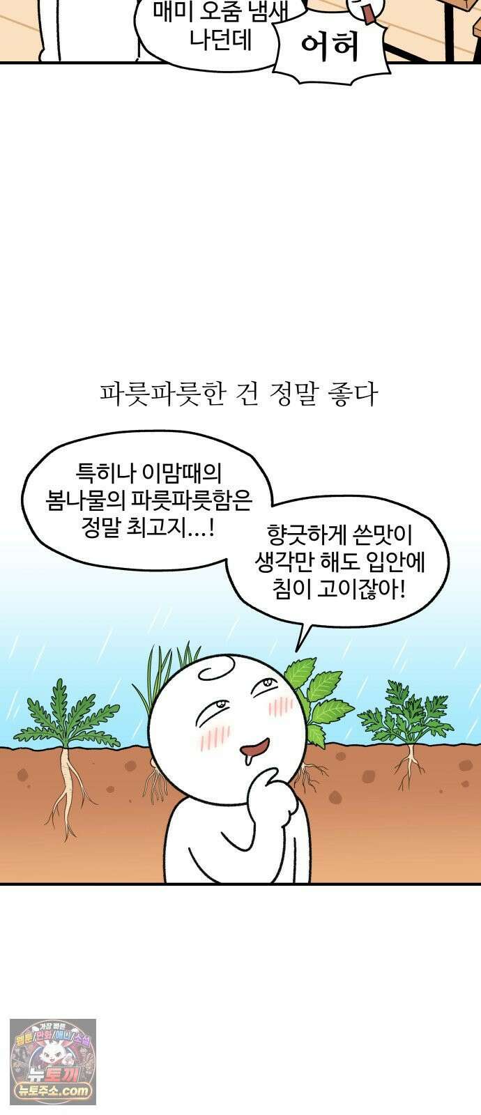 먹는 인생2 46화 봄나물 우렁 강된장밥 3