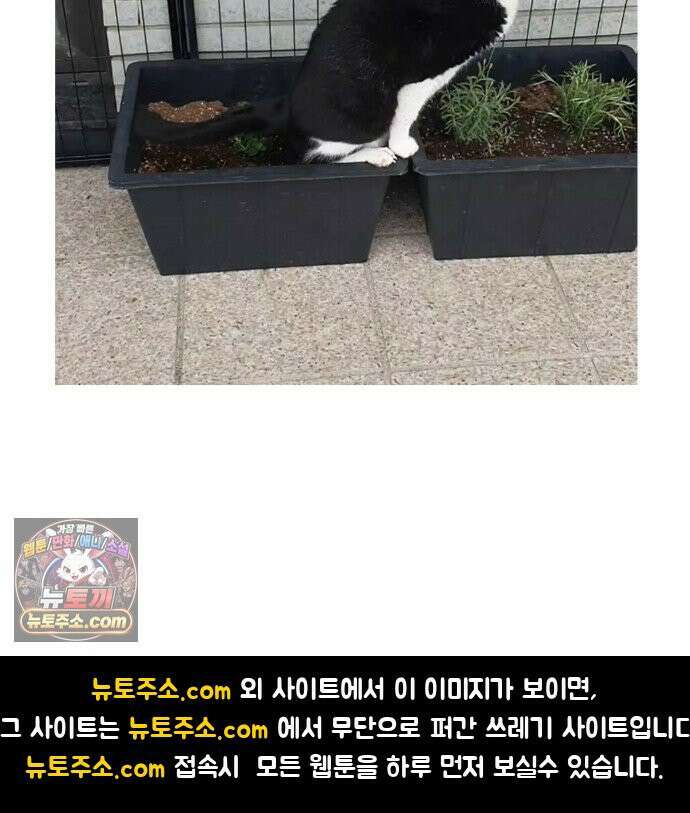 먹는 인생2 46화 봄나물 우렁 강된장밥 19