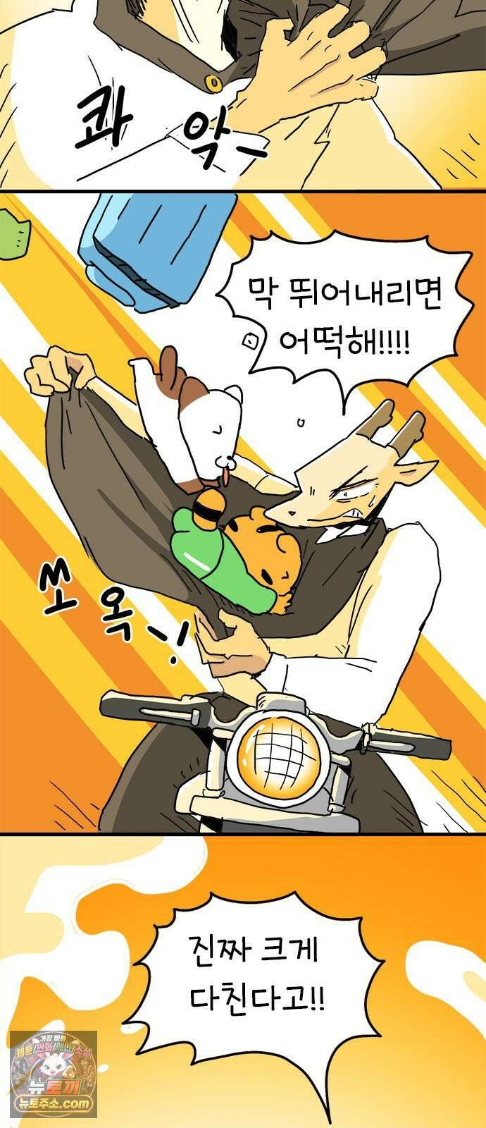 소심한 호랭이 코코 86화 도시로 가자! (4) 완 3
