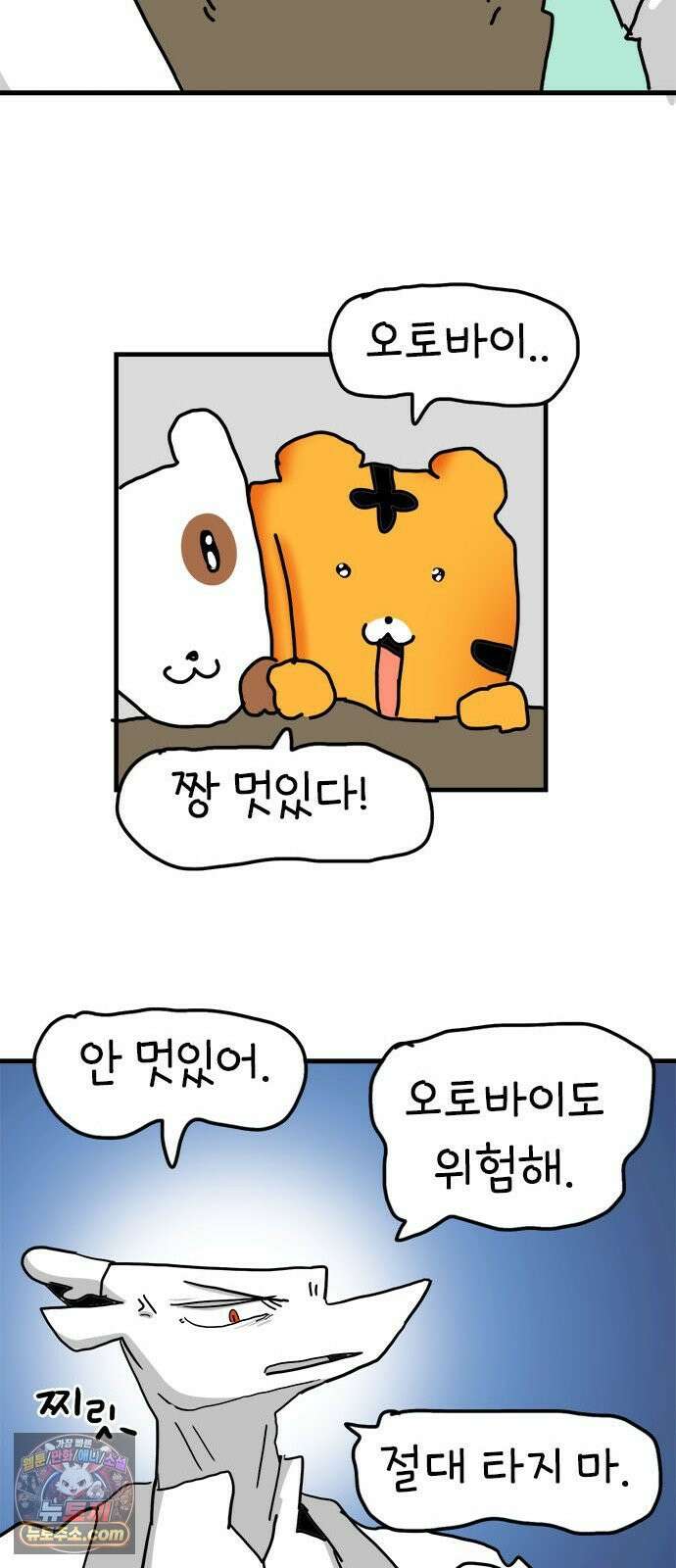 소심한 호랭이 코코 86화 도시로 가자! (4) 완 9