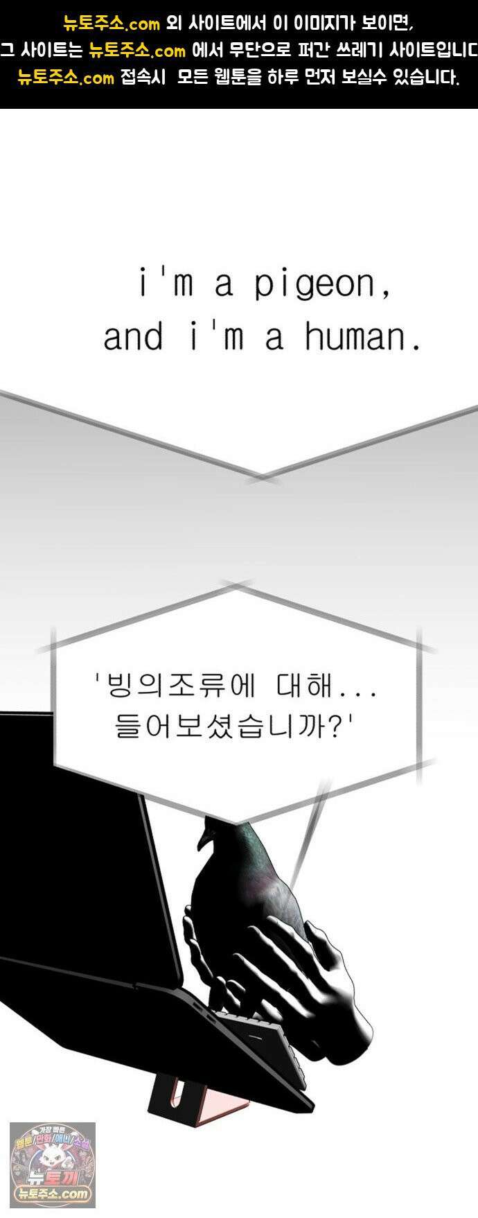 성북구 비둘기 이헌서 85화 1
