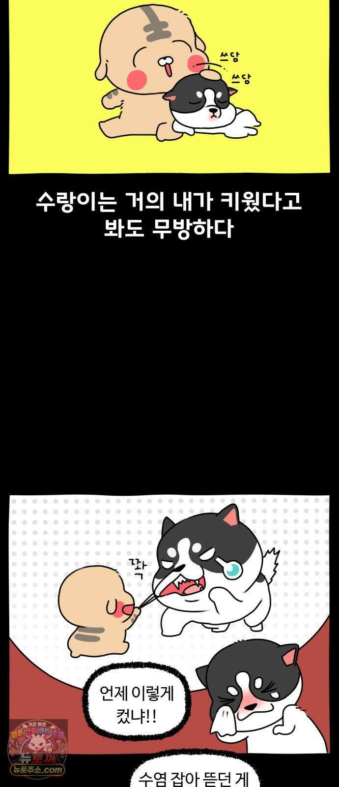 초등생활 그림일기 93화． 새로운 식구?! - 3 - 5