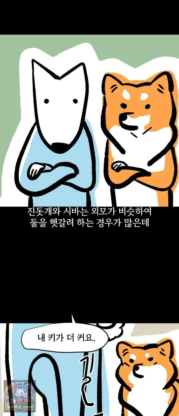 개집사 173화: 돌아온 견종 특집-시바편 4