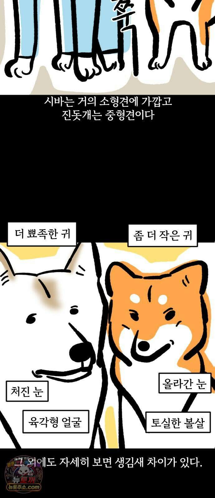 개집사 173화: 돌아온 견종 특집-시바편 5