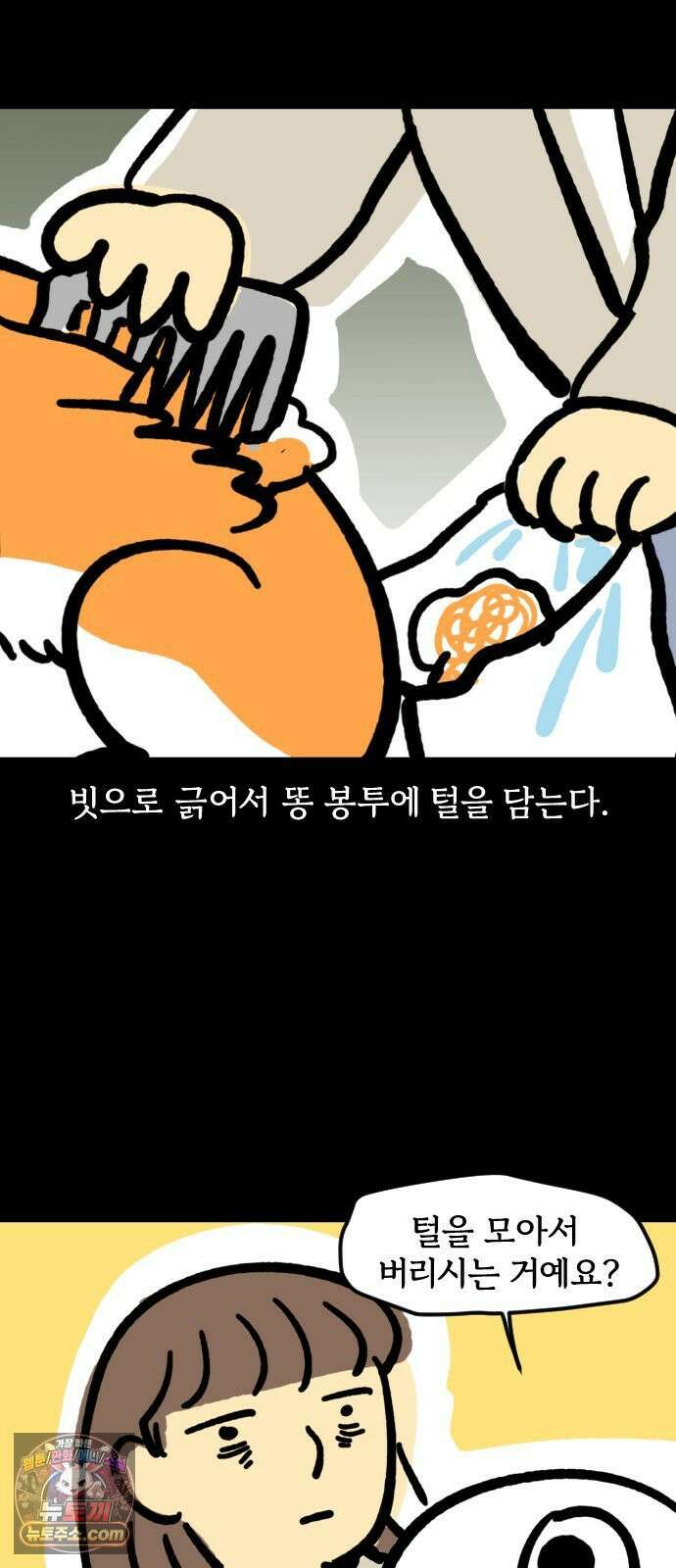 개집사 173화: 돌아온 견종 특집-시바편 9