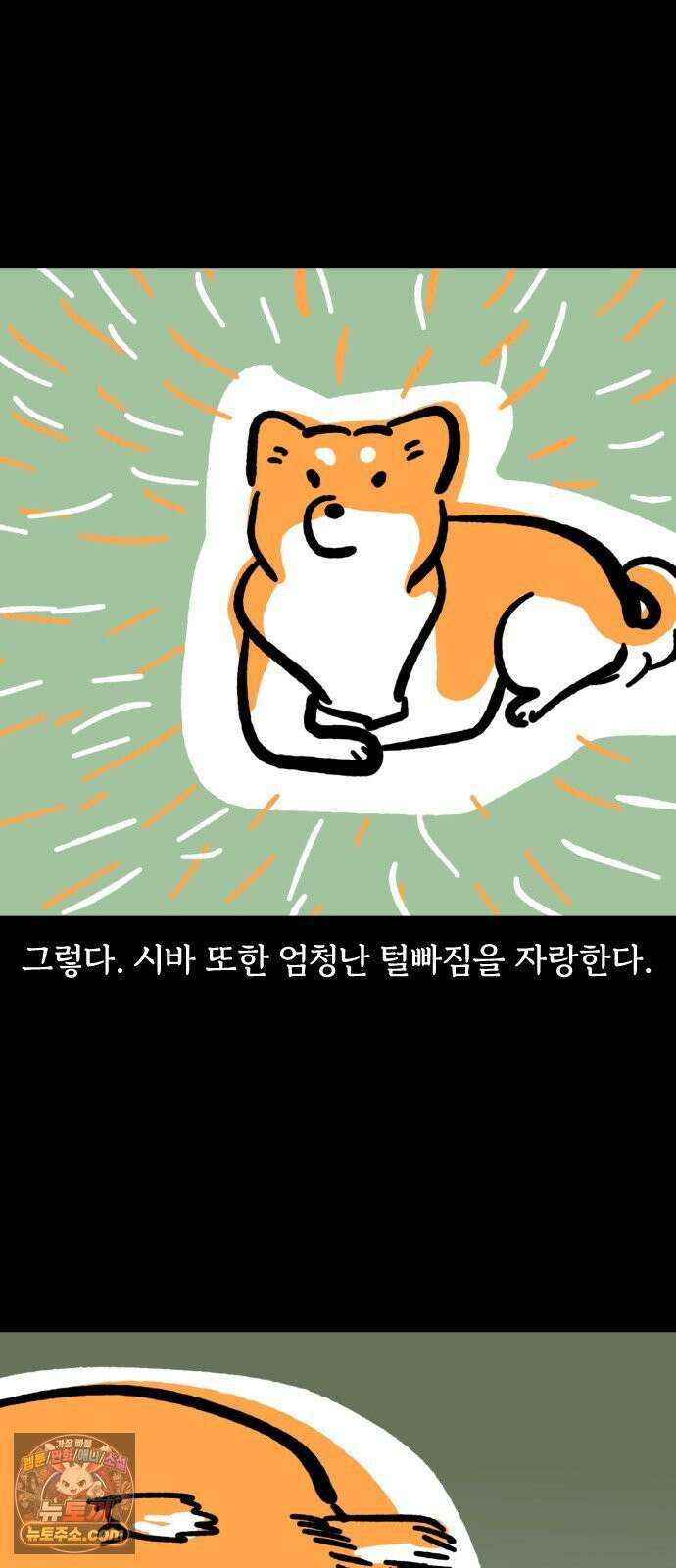 개집사 173화: 돌아온 견종 특집-시바편 11