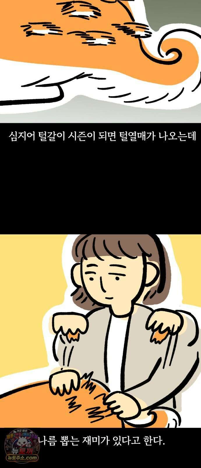 개집사 173화: 돌아온 견종 특집-시바편 12