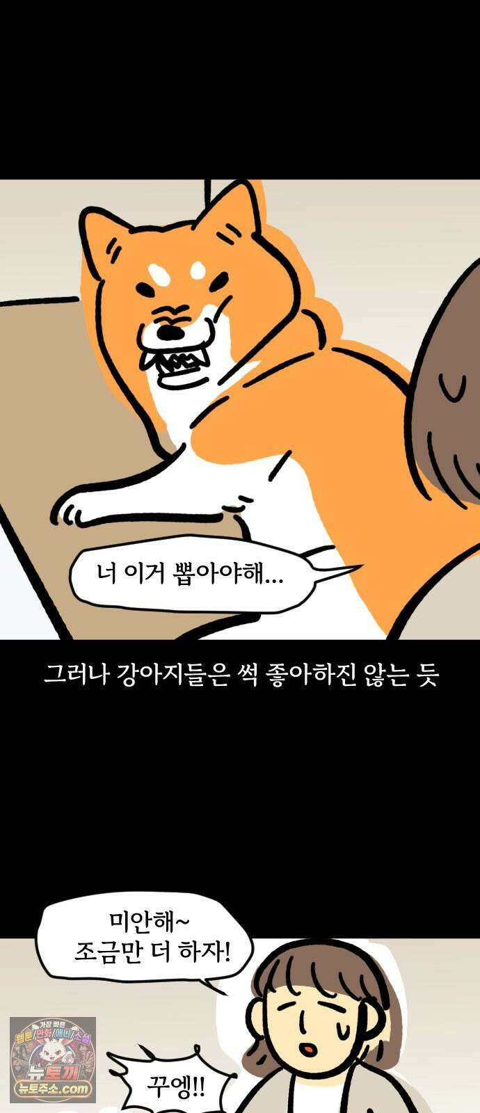 개집사 173화: 돌아온 견종 특집-시바편 13
