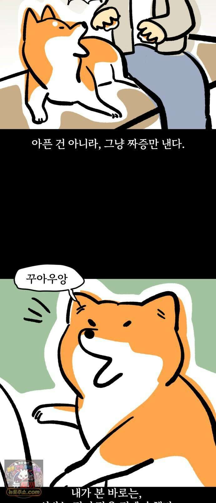 개집사 173화: 돌아온 견종 특집-시바편 14