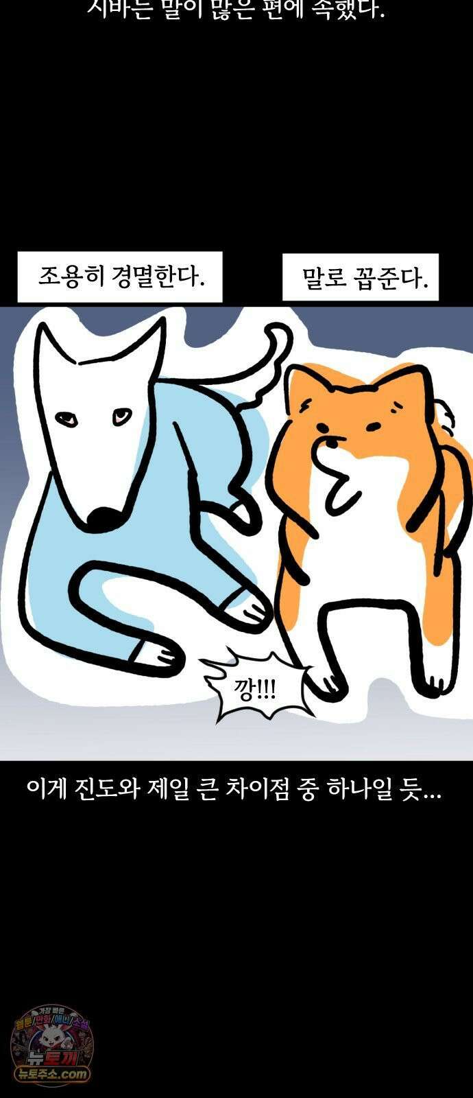개집사 173화: 돌아온 견종 특집-시바편 15