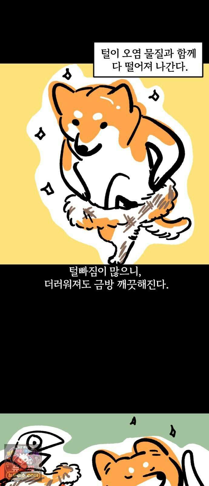 개집사 173화: 돌아온 견종 특집-시바편 18