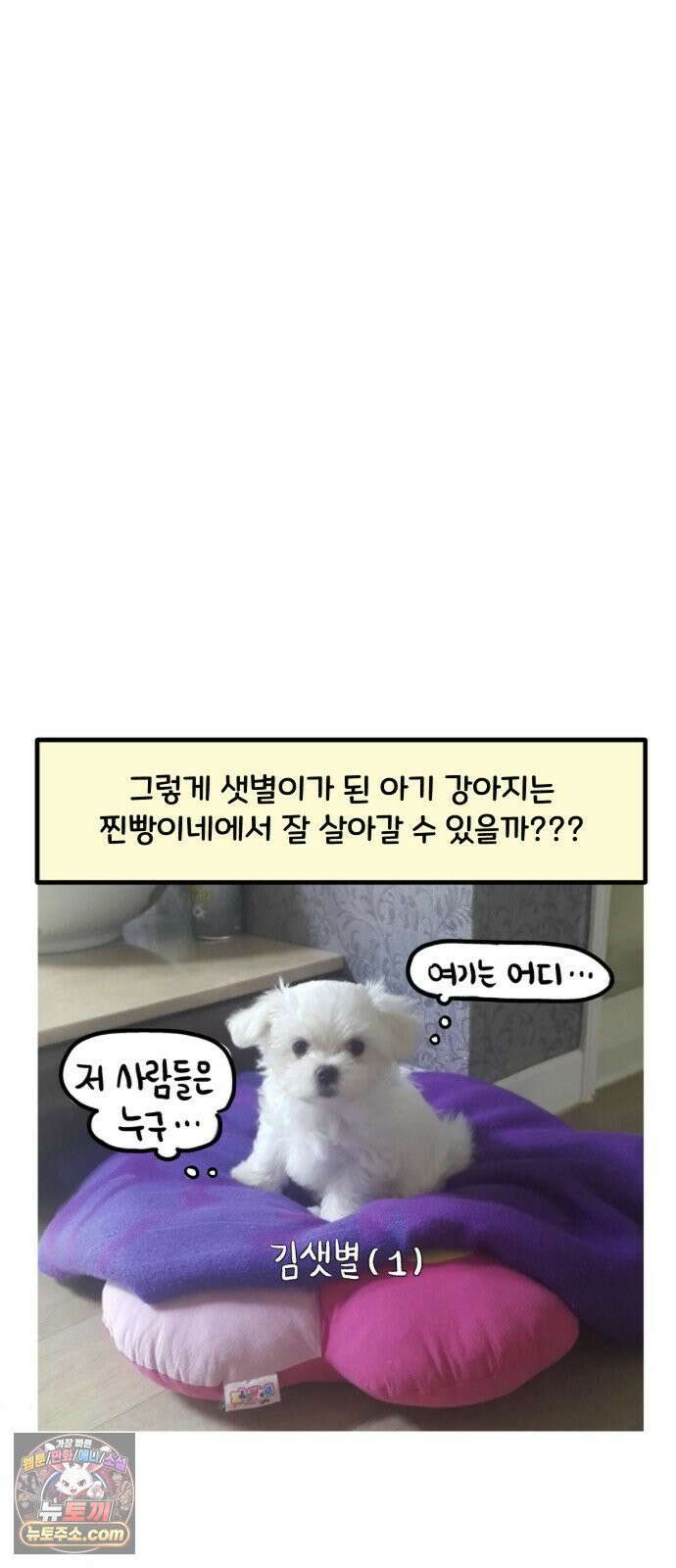 과학고 생존일지 39빵 새 식구가 왔어요! 14