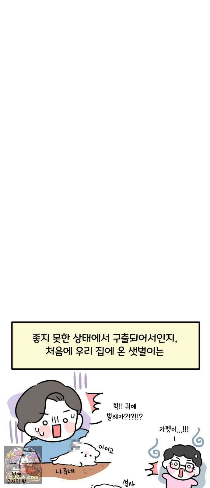 과학고 생존일지 39빵 새 식구가 왔어요! 19