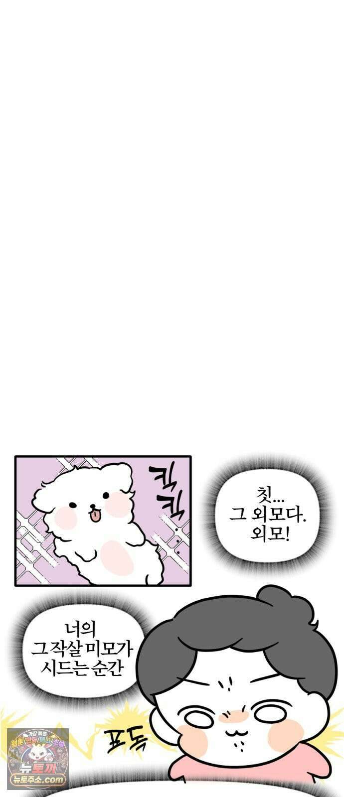 과학고 생존일지 39빵 새 식구가 왔어요! 28