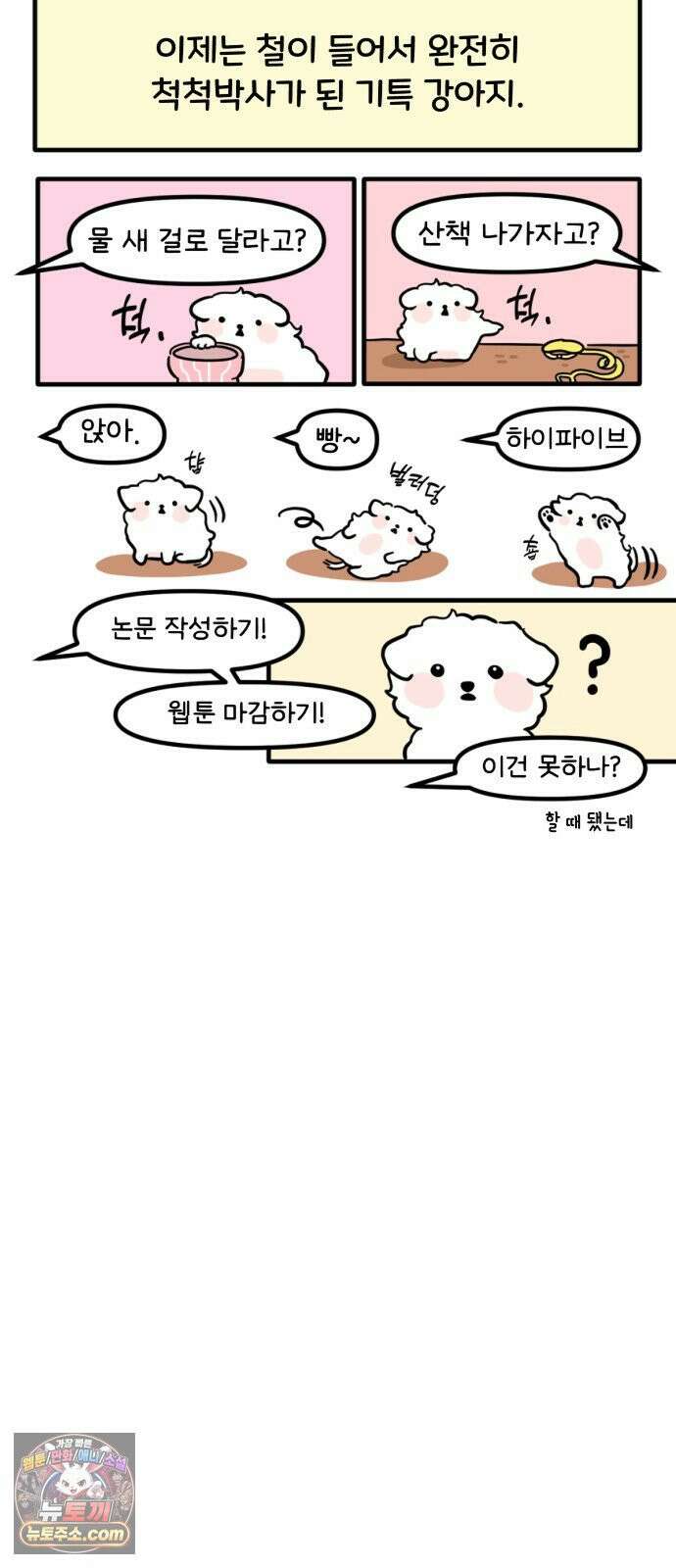 과학고 생존일지 39빵 새 식구가 왔어요! 33