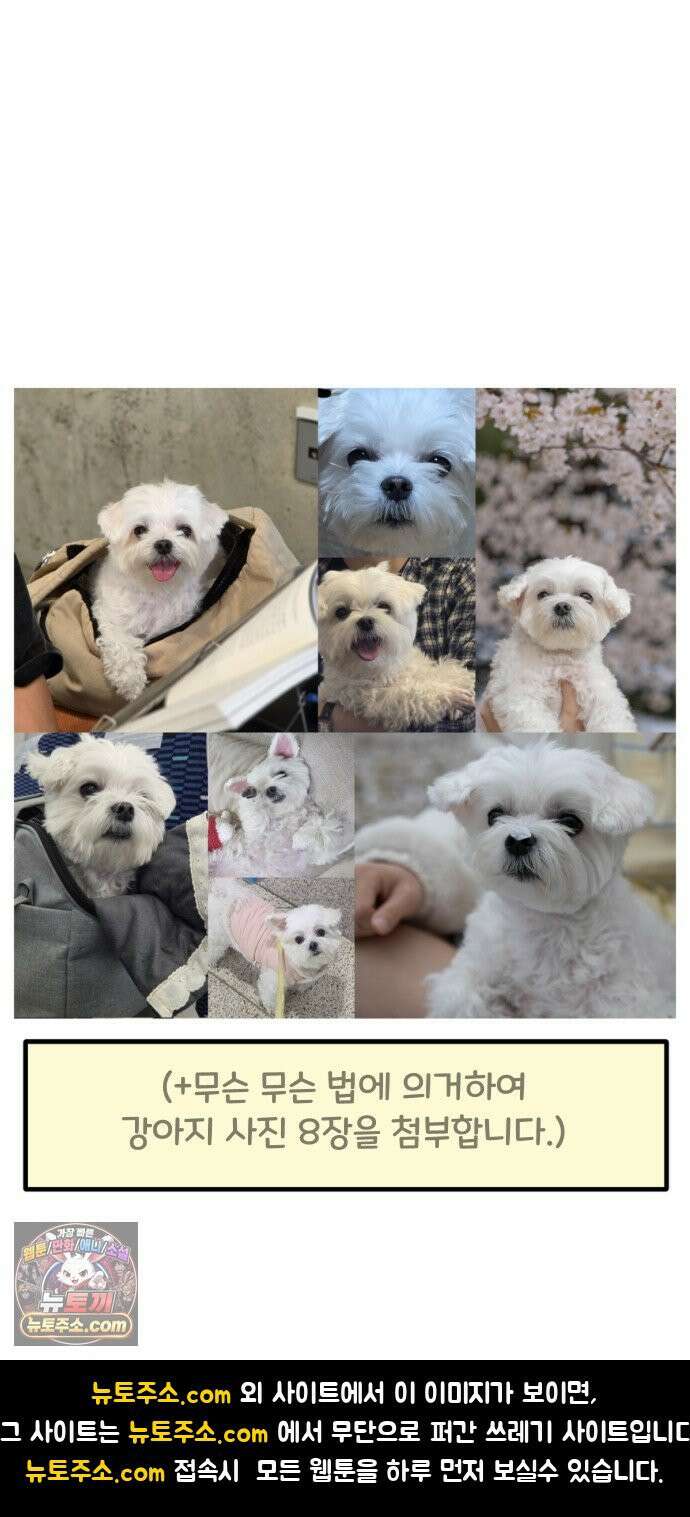과학고 생존일지 39빵 새 식구가 왔어요! 35