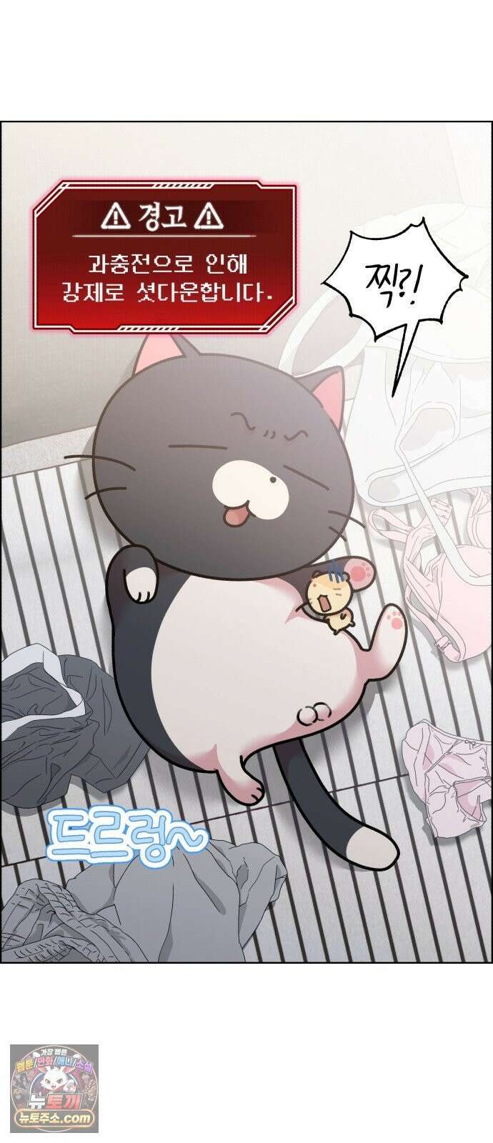 냥냥찍찍! 49화． 봤잖아, 기억 지워! 28