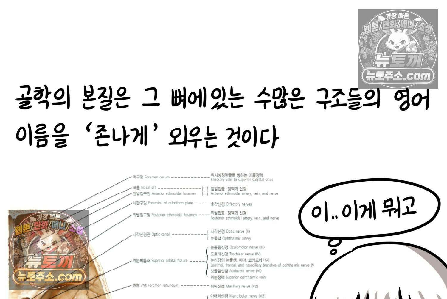 재활용 머학생 142화 골학을 알아보자(2) 30