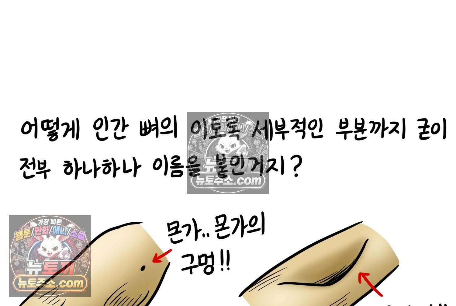 재활용 머학생 142화 골학을 알아보자(2) 32
