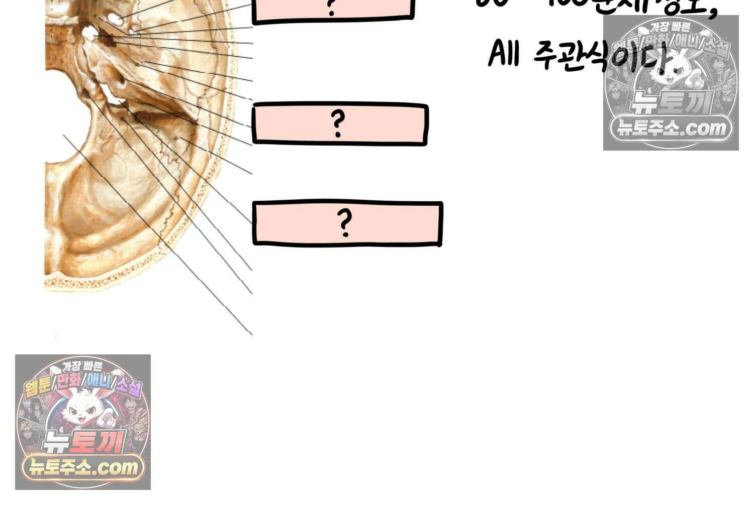 재활용 머학생 142화 골학을 알아보자(2) 51